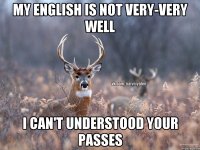 My English is not very-very well I can't understood your passes