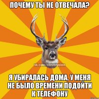 Почему ты не отвечала? Я убиралась дома, у меня не было времени подойти к телефону