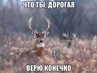 Что ты, дорогая Верю конечно