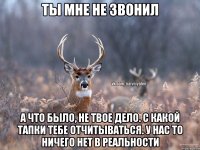 Ты мне не звонил А что было, не твое дело. С какой тапки тебе отчитываться. У нас то ничего нет в реальности