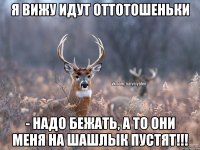 Я вижу идут ОТТОТОШЕНЬКИ - надо бежать, а то они меня на шашлык пустят!!!