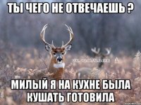 ты чего не отвечаешь ? милый я на кухне была кушать готовила