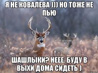 Я не ковалева ))) но тоже не пью Шашлыки? Неее. Буду в выхи дома сидеть )