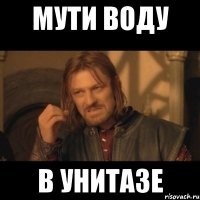 Мути воду в унитазе