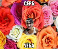 СЕРБ УЁБА