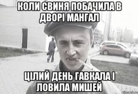 КОЛИ СВИНЯ ПОБАЧИЛА В ДВОРІ МАНГАЛ ЦІЛИЙ ДЕНЬ ГАВКАЛА І ЛОВИЛА МИШЕЙ