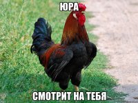 юра смотрит на тебя