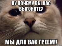 ну почему вы нас выгоняте? мы для вас греем!!