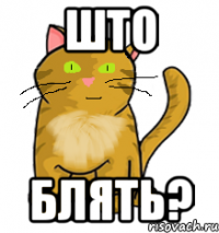 Што Блять?