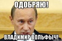 Одобряю! Владимир Вольфыч!