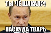 Ты чё шакал?! Паскуда тварь