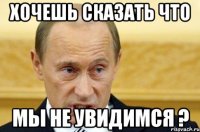 Хочешь сказать что Мы не увидимся ?