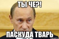 ты че?! паскуда тварь