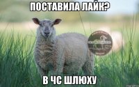 Поставила лайк? В чс шлюху