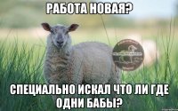 Работа новая? Специально искал что ли где одни бабы?