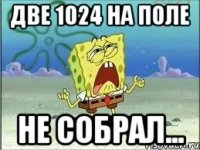 две 1024 на поле не собрал...