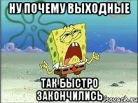 Ну почему выходные Так быстро закончились