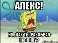 АЛЕКС! НУ , НАХ ТЫ РАЗОБРАЛ КАЛОНКУ?