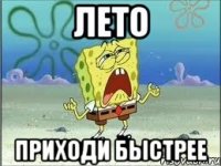 Лето Приходи быстрее