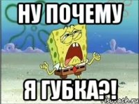 ну почему я губка?!