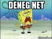 Deneg net 