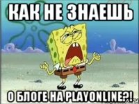 Как не знаешь о блоге на PlayOnline?!