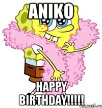 Aniko Happy Birthday!!!!!