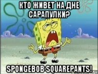 кто живет на дне сарапулки? spongebob squarepants!