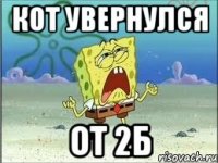 Кот увернулся от 2б