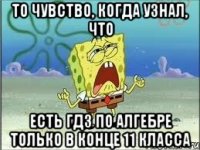 То чувство, когда узнал, что есть гдз по алгебре только в конце 11 класса