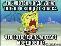 То чувство, когда узнал только в конце 11 класса, что есть гдз по алгебре Мордковича