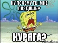 Ну почему ты мне пиздишь? Куряга?