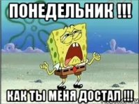 Понедельник !!! Как ты меня ДОСТАЛ !!!