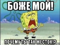 Боже мой! Почему ты так жесток!?