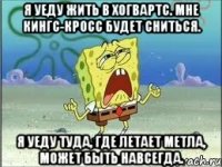 я уеду жить в Хогвартс. мне Кингс-Кросс будет сниться. я уеду туда, где летает метла, может быть навсегда.