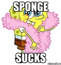 sponge SUCKS