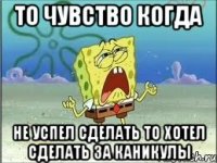 то чувство когда не успел сделать то хотел сделать за каникулы