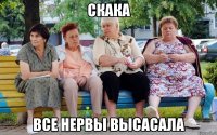 скака все нервы высасала