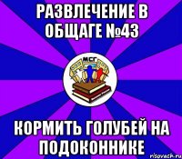 развлечение в общаге №43 кормить голубей на подоконнике