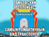 Тамбовский троллейбус- самый романтичный вид транспорта.