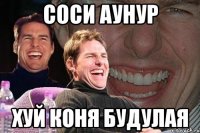 соси аунур хуй коня будулая