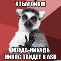 УЗБАГОЙСЯ! Когда-нибудь Никос зайдет в Аsk