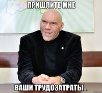 пришлите мне ваши трудозатраты...