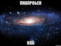 пнапроьен опа