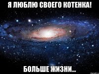 Я люблю своего котенка! больше жизни...