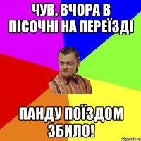 Чув, вчора в Пісочні на переїзді Панду поїздом збило!