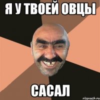 я у твоей овцы сасал