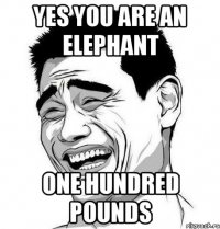 yes you are an elephant one hundred pounds