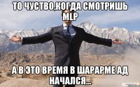 то чуство,когда смотришь MLP а в это время в шарарме ад начался...