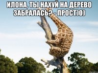 Илона, ты нахуй на дерево забралась? - прост)0) 